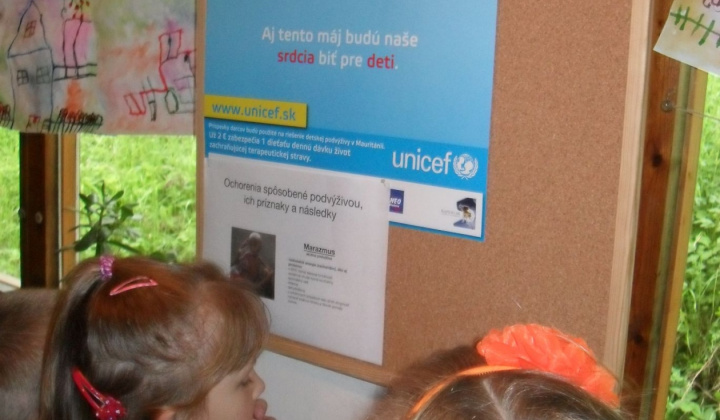Projekt UNICEF 2015/2016
