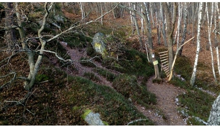 Propagačný projekt Po Slovensku za zdravím