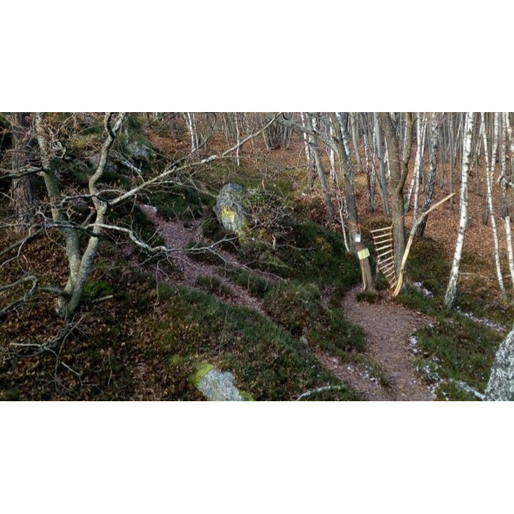 Propagačný projekt Po Slovensku za zdravím